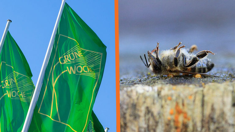 Ankündigung_Grüne_Woche