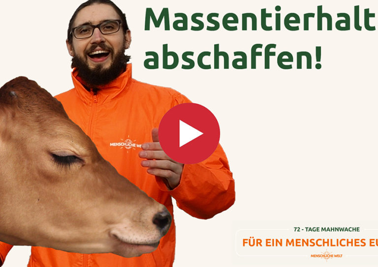 Thumbnail Tag 8 button