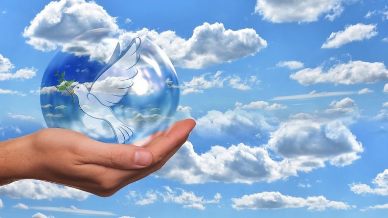 Frieden_taube_hand_800