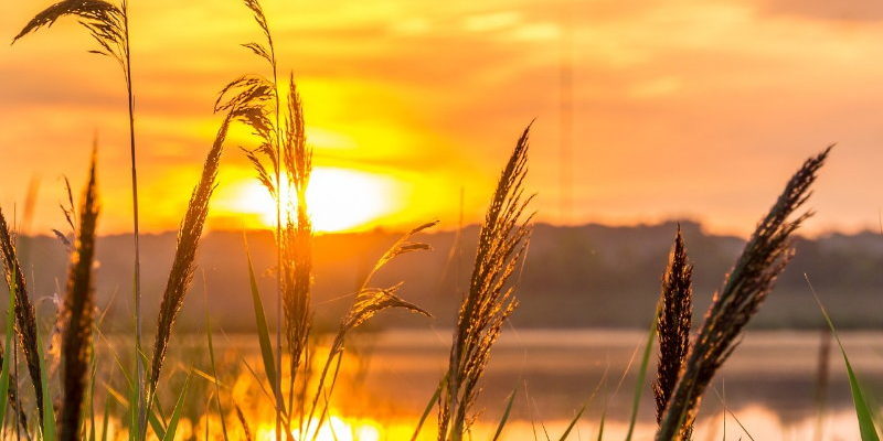 was_moechtest_du_im_tageslicht_sehen