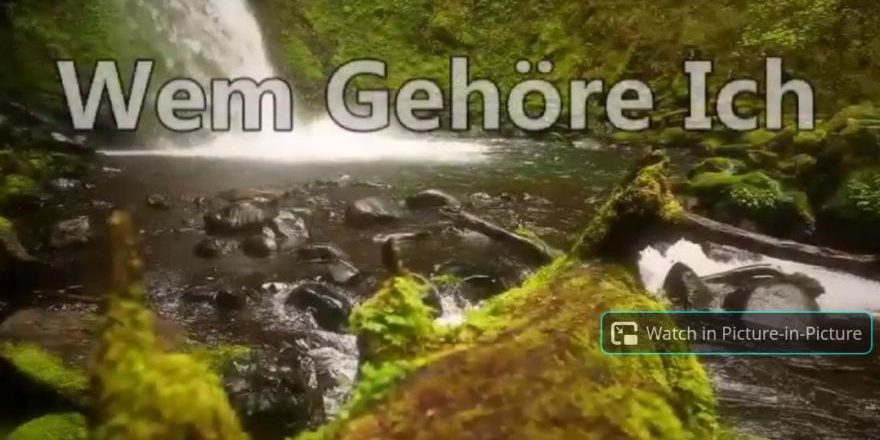 Bildschirmfoto-vom-2020-11-12-16-10-08-thegem-blog-default