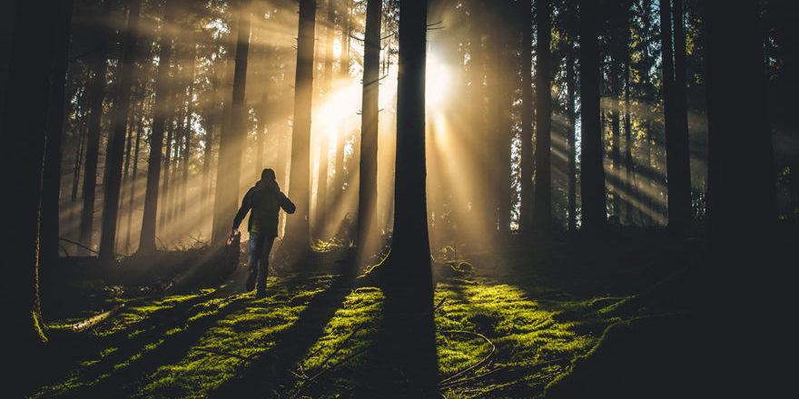 Wie-unser-System-den-Corona-Schwindel-ermöglicht-thegem-blog-default