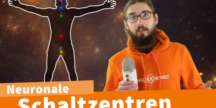 Schnittstellen-zwischen-Körper-Geist-thegem-blog-default