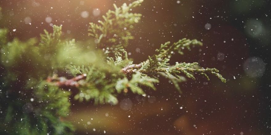 winter-1791370_1280-thegem-blog-default