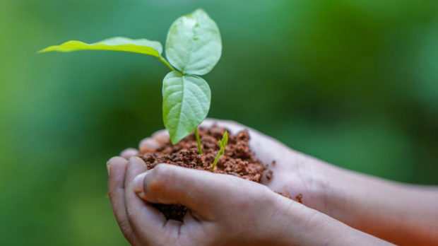 Der-Ursprung-des-Lebens-thegem-blog-default