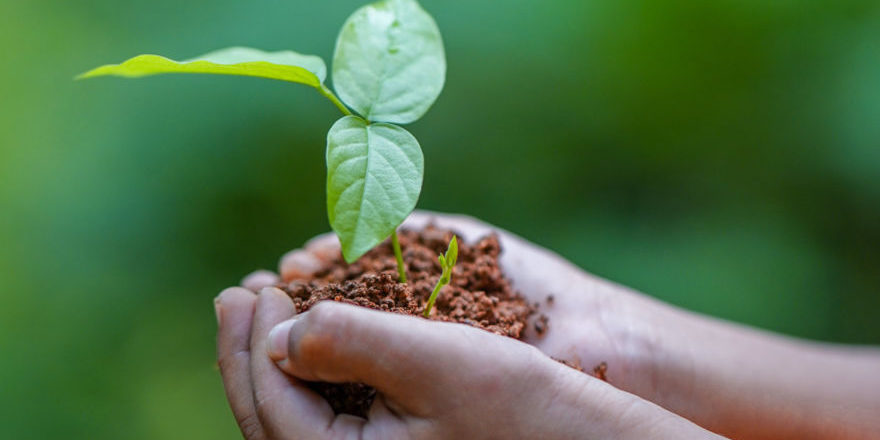 Der-Ursprung-des-Lebens-thegem-blog-default