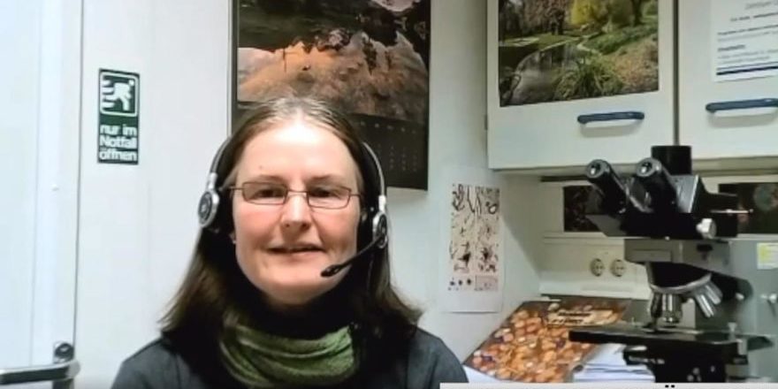 Bildschirmaufnahme_Auswahlbereich_20210605113959-thegem-blog-default