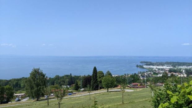 PXL_20210720_140629750-scaled-thegem-blog-default