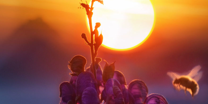 08.09.-1-1-scaled-thegem-blog-default