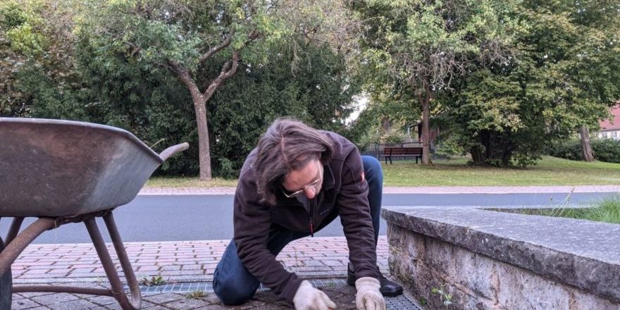 flowers-3218076_1920-thegem-blog-default