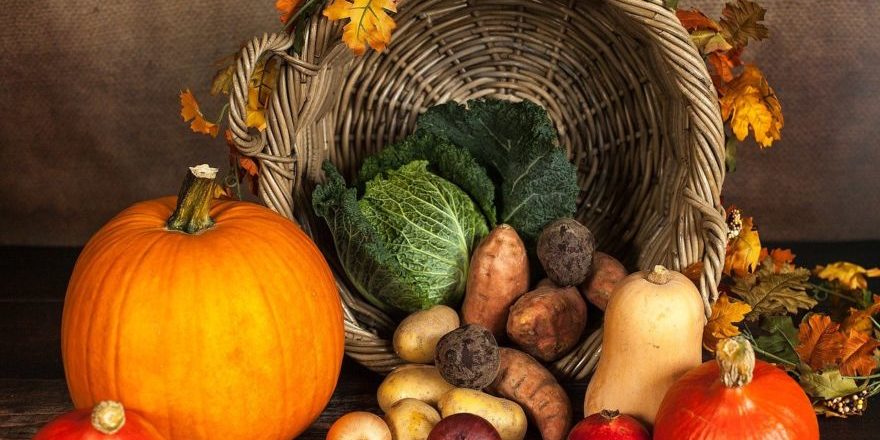 pumpkin-g332336304_1280-thegem-blog-default