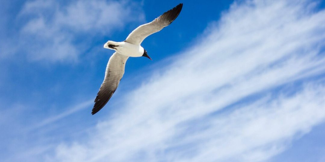 enoch-hsiao-4lfZHaIBWMc-unsplash-scaled-thegem-blog-default