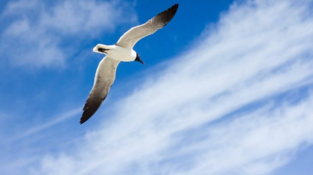 enoch-hsiao-4lfZHaIBWMc-unsplash-scaled-thegem-blog-default