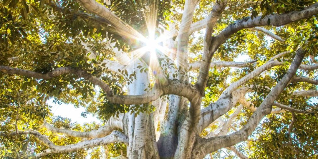 jeremy-bishop-EwKXn5CapA4-unsplash-scaled-thegem-blog-default