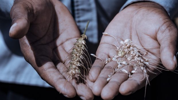 hands-gcb0ff7e55_1280