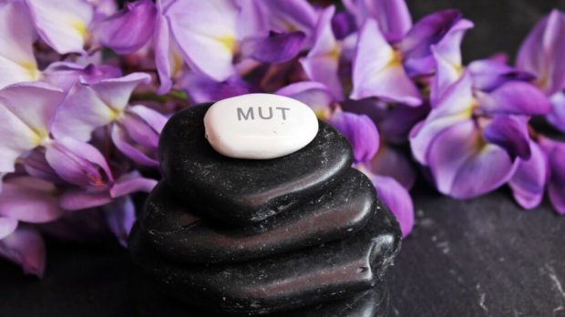 balance-gf2caa1013_1280-thegem-blog-default