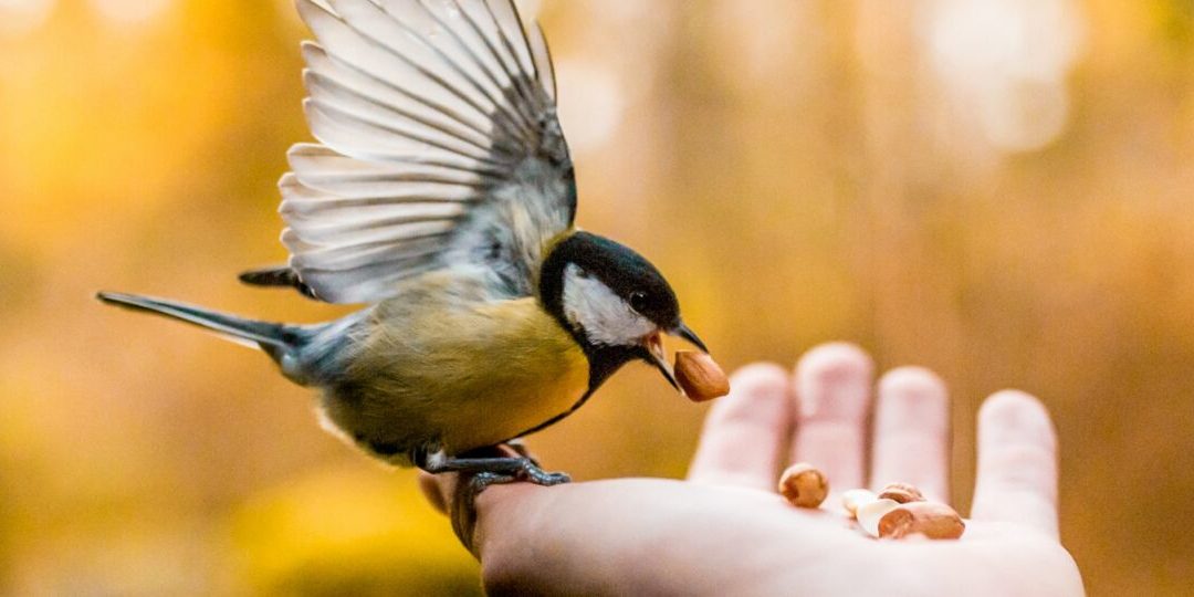 taneli-lahtinen-fQ2YX56wQ-Y-unsplash-thegem-blog-default