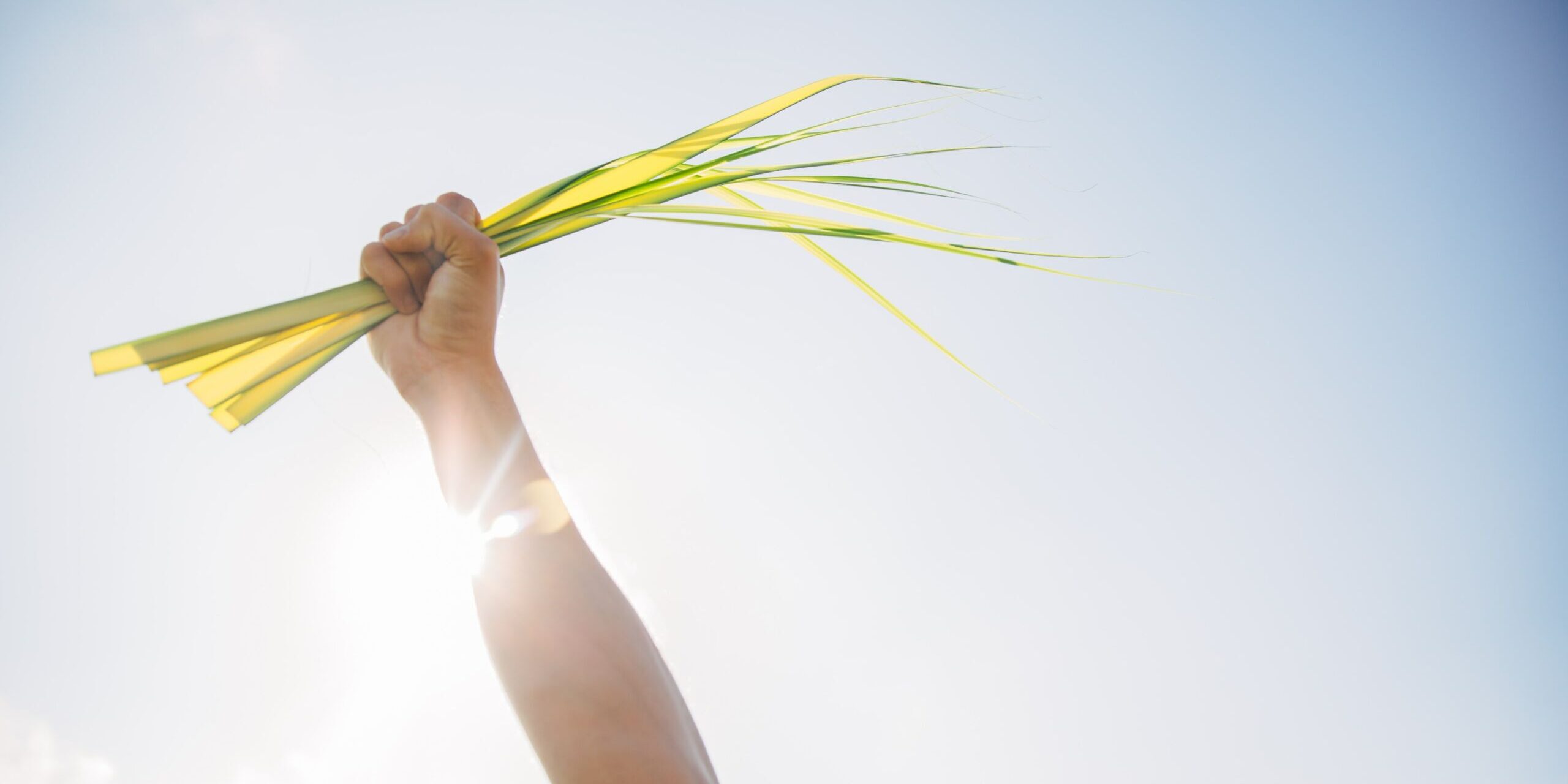 jacob-bentzinger-YVHAYE6rWmY-unsplash-scaled