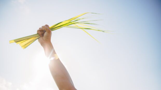 jacob-bentzinger-YVHAYE6rWmY-unsplash-scaled