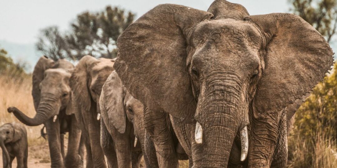 redcharlie-redcharlie1-Y-zr3CPaPs-unsplash-scaled-thegem-blog-default