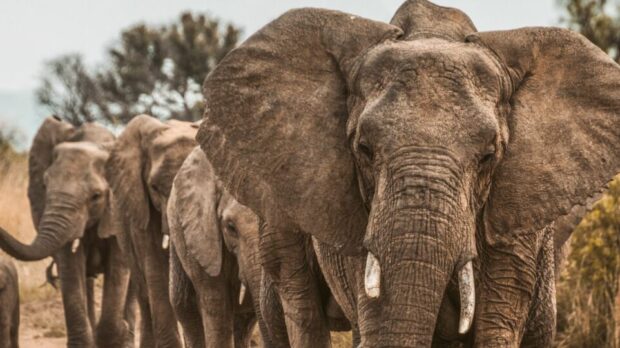 redcharlie-redcharlie1-Y-zr3CPaPs-unsplash-scaled-thegem-blog-default