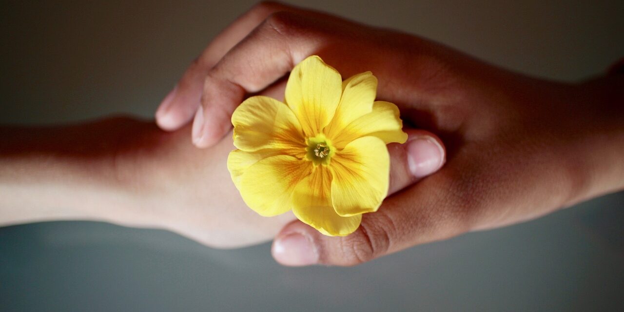 brotherhood-2173097_1280