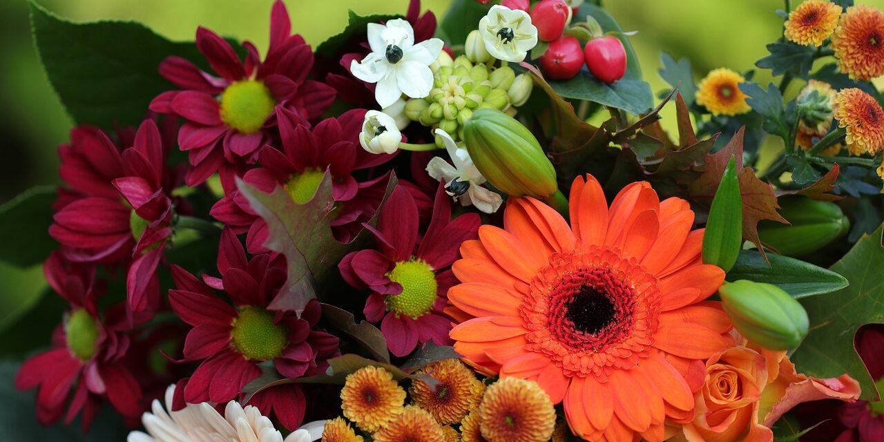 flowers-6814937_1280