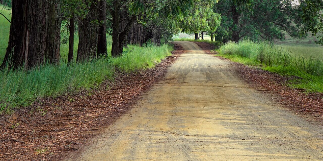 Was ist gesellschaftlicher Fortschritt? MENSCHLICHE WELT