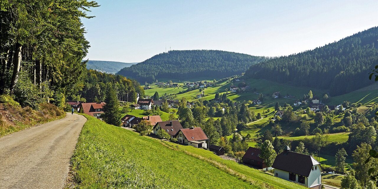 northern-black-forest-1270087_1280