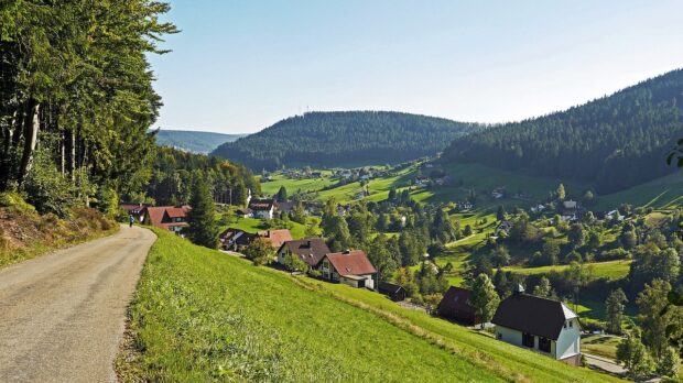 northern-black-forest-1270087_1280