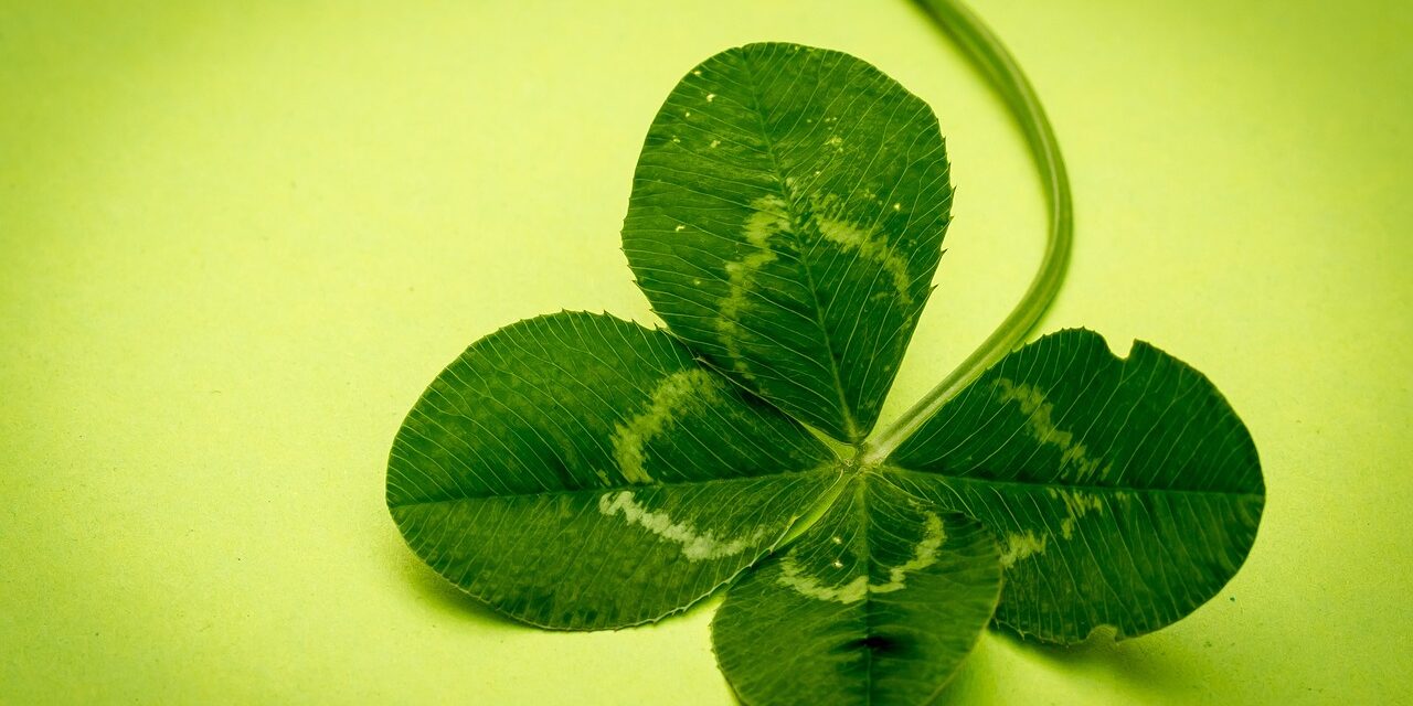 clover-941596_1280
