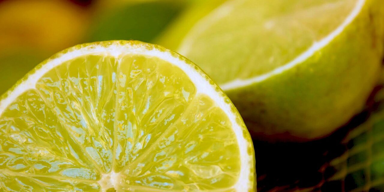 lemon-6231697_1280-1