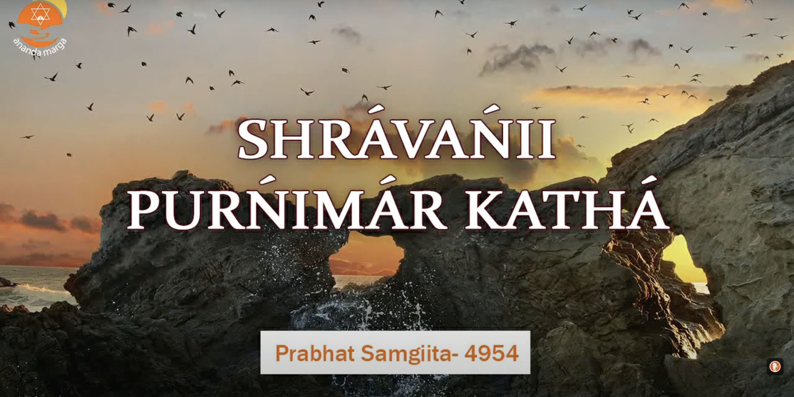 Bildschirmfoto-2024-08-19-um-20.29.00